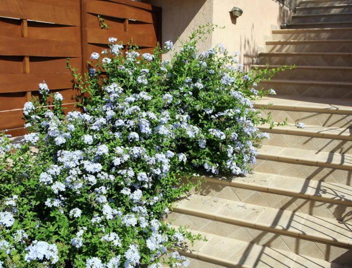 Provenzo And Meliti Villas ลูร์ดฮาตา ภายนอก รูปภาพ